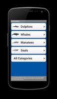 See & ID Dolphins & Whales capture d'écran 1