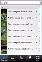 Thai Fungi Lite APK download