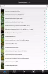 Thai Fungi Lite APK download