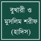 সহীহ বুখারী ও মুসলিম শরীফ 圖標