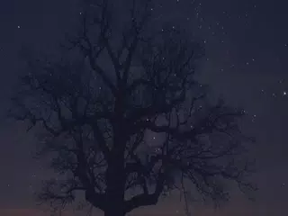 Ninja: The Chakra Awakens APK download