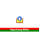 APK Ngochang Bible