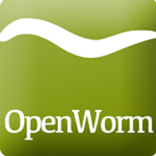 WormWorx