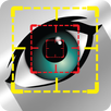 APK Eye Localization