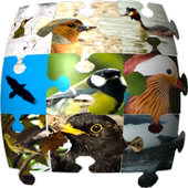 Ornithopedia North America icon