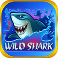 Wild Shark Slot