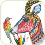 Adult Coloring Animals