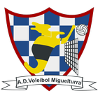 ADV Miguelturra icône