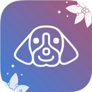 Pet Allergy APK