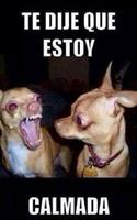 Imagenes Graciosas 截圖 3