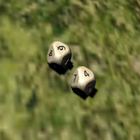 Universal Multiple Dice Roller icon