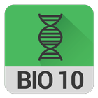 Online Labs - Biology 10 icône
