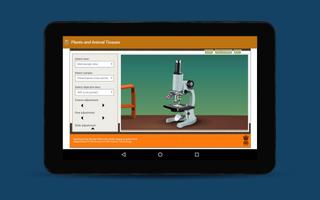 Online Labs الملصق