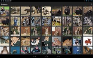 Zooborns for Android syot layar 1