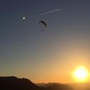 XC Paragliding APK