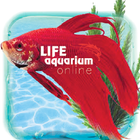 Life Aquarium Online ícone