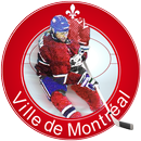 Hockey Montréal - Édition Canadien APK