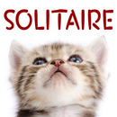 Cats Playing Card Games APK