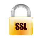 sslTestTool icon