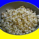 Boy Scout Popcorn Counter 图标