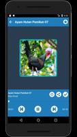 1001 Pikat Ayam Hutan Mp3 Berburu Terlengkap screenshot 3