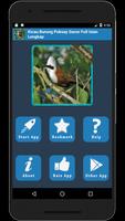 Kicau Burung Poksay Gacor Full Isian Lengkap capture d'écran 1