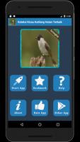 Koleksi Kicau Kutilang Hutan Terbaik capture d'écran 1