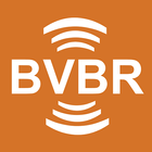 BVBR 图标