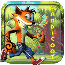 Super Bandicoot Amazing Jungle World Adventure APK