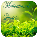 try something new - quotes APK