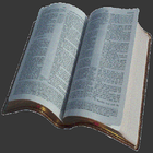 Bible - old testament-icoon