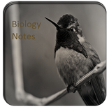 10 grade Biology Notes-Free