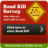 Irish Roadkill Reporting App