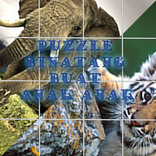 Puzzle Animal For Children