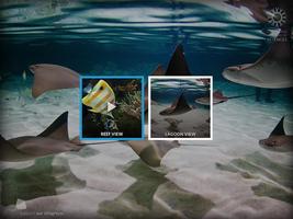 Stingrays Live ภาพหน้าจอ 3