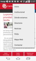 Cáritas Diocesana de Sevilla screenshot 1