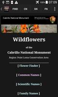 CNM WildFlowers poster