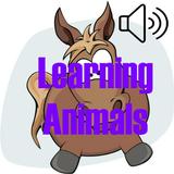 Learning Animals with Sound icône