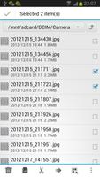 Categorized File Explorer скриншот 1