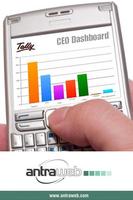 Tally CEO Dashboard Cartaz