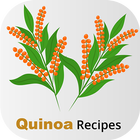 Healthy Quinoa Recipes ไอคอน