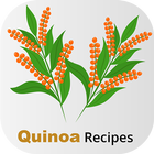 Healthy Quinoa Recipes ikona