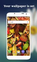 برنامه‌نما Cool Wallpapers and Backgrounds - Wallpaper app عکس از صفحه