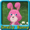 Smelly Bunny
