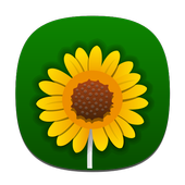 QtPic (Images) icon