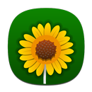 QtPic (Images) APK