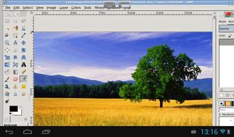 XGimp โปสเตอร์