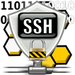 DigiSSHD / SSH Server