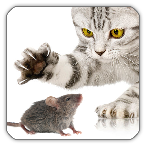 Mouse Game for Cat