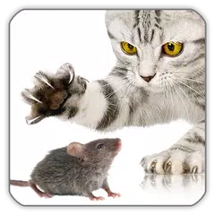Mouse Game for Cat APK Herunterladen